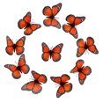 thumbnail image 4 of YAOMOBB Anti-slip Refrigerator Magnet Realistic 3D Magnets Set for Fridge Decoration (10 Pcs), 4 of 6