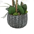 thumbnail image 7 of Vanity Art 27.95" H Phalaenopsis Orchids Floral Arrangement in Bamboo Woven Pot, 7 of 7