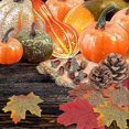 thumbnail image 4 of 50Pcs Thanksgiving Artificial Pumpkins Home Harvest Decoration Set, Fake Pumpkins Gourds Maple Leaves Pine Cones Acorns, 4 of 5