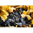 thumbnail image 2 of PLank, Savanah 18x13 White Modern Wood Framed Museum Art Print Titled - Alaska-Ketchikan-mussels on beach with barnacles, 2 of 4
