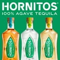 Hornitos Reposado Tequila 750 ml