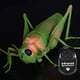 thumbnail image 4 of Juguete de saltamontes RC infrarrojo , de , juguetes novedosos, juguetes engañosos de broma, juguete Animal de telemando, 4 of 9