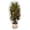 A #1, variant on ZZAIXHL 1 Pcs Drawstring Blueberry Netting for Bushes 47.24 x 31.5in Garden Bird Netting Plant Cover Easy Install Reusable Fruit Tree Netting for Protect Plants Fruits Flowers from Insect Bird Eating