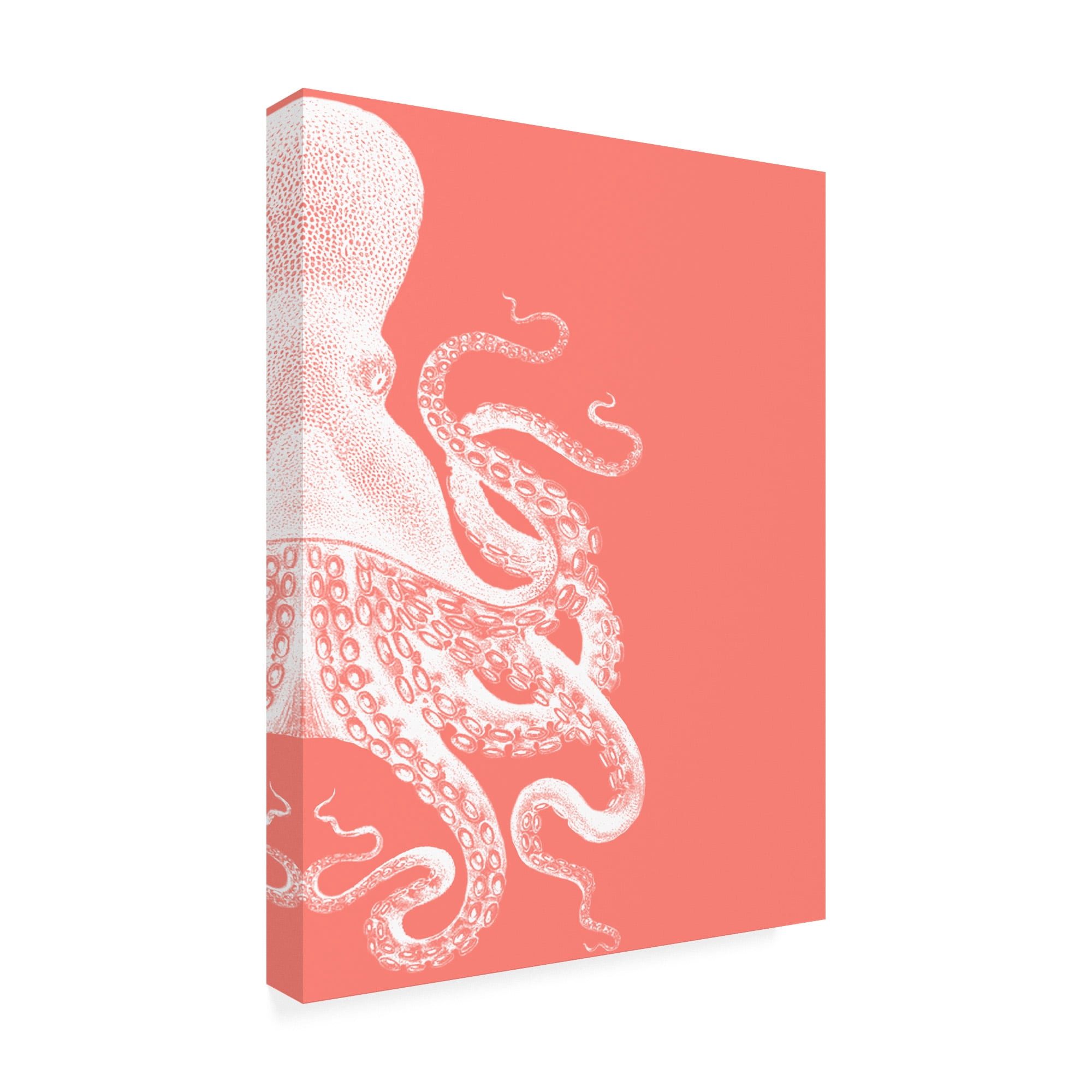 Trademark Fine Art 'Octopus Coral And Cream B' Canvas Art by Fab Funky