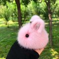 thumbnail image 1 of Plush Pendant High-looking Mini Version of Bunny Bag Pendant Non-shedding Ins Cute Rabbit Car Keychain Car Pendant Keyring, 1 of 4
