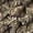 11.8x7.9in, variant on 4PCS Cork Terrarium Background 15.7x11.8in Natural Cork Large Bark Climbing Mat Habitat Decoration Chameleons, Lizards, Turtles Glass Jar Decoration