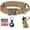 Brown, variant on Tactical Dog Collar, Adjustable Military Training Nylon Dog Collar with Control Handle and Heavy Metal Buckle for Medium and Large Dogs, with Patches and Airtags Case