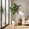 thumbnail image 6 of Plant Support Stakes, Acrylic Clear Potted Flora Fixed Rod Indoor Outdoor Garden Sticks Botanical Growth Tool Transparent Vegetation Stem Training Mounting Bracket, 15.75in, 6 of 6