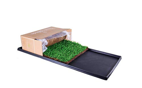 real grass pee pad