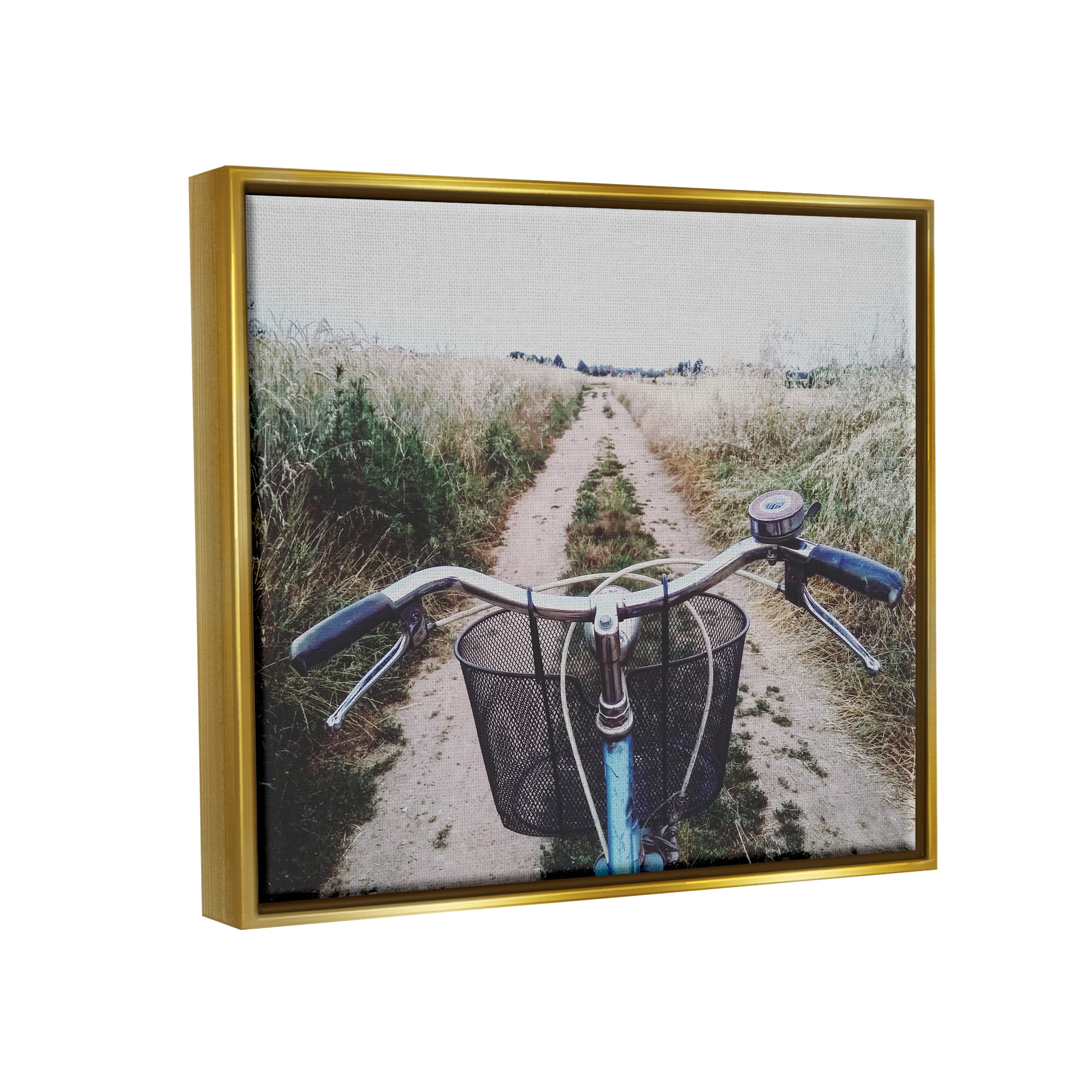 Stupell Industries Bicycle on Rural Path Nature Photography Gold Floater Framed Art Print Wall Art, 21 x 17