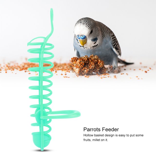 Cesta alimentadora de loros, soporte de plástico para alimentación de frutas y alimentos, soporte para percha para suministros para pájaros y mascotas (verde)