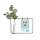 thumbnail image 1 of Jarrones colgantes de vidrio transparente Unbranded Decoración botella perro Saluki animal de compañia, 1 of 4