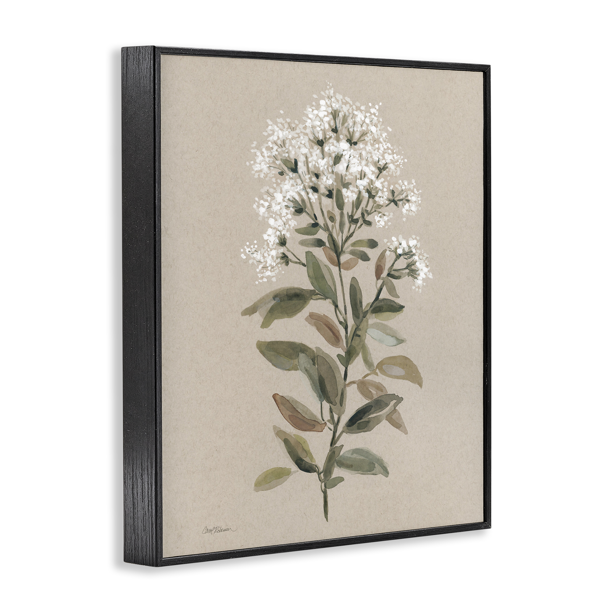 Stupell Industries Blooming Watercolor Flower Botanical & Floral Painting Black Framed Art Print Wall Art, 11 x 14