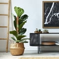 thumbnail image 3 of Porta plantas Monstera para plantas trepadoras de interior con tallos de musgo, 2 piezas, 3 of 5