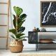 thumbnail image 3 of Soporte para plantas Monstera para plantas trepadoras de interior tallos de musgo 2 piezas, 3 of 5