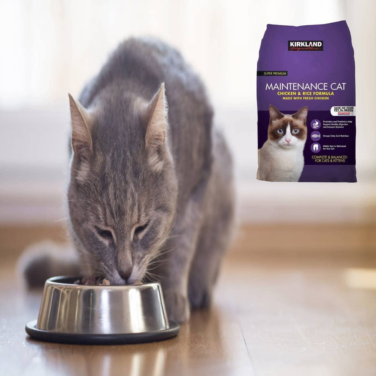 Costco kirkland cat food discount