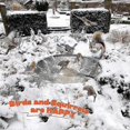 thumbnail image 5 of Bird Bath Heater For Outdoors In Winter, Pond De-icer 60 Deicer Water Heater Thermostatically Contr, 5 of 5