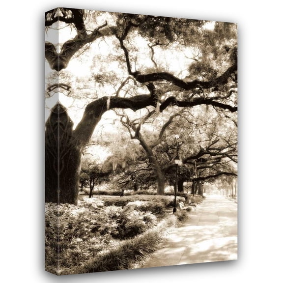 Alan Hausenflock 17x24 Gallery Wrapped Canvas Wall Art Titled - Savannah Sidewalk II