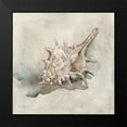 thumbnail image 2 of Robinson, Carol 15x15 Black Modern Framed Museum Art Print Titled - Seashell Textures I, 2 of 5