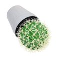 thumbnail image 3 of Artificial Cactus Plants Fake Succulent Bonsai Faux Potted Plant Desktop Decor Greenery Assortment Imitation Ornaments, 3 of 7