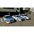 thumbnail image 7 of Police Simulator Patrol Officers (Nintendo Switch), 7 of 7