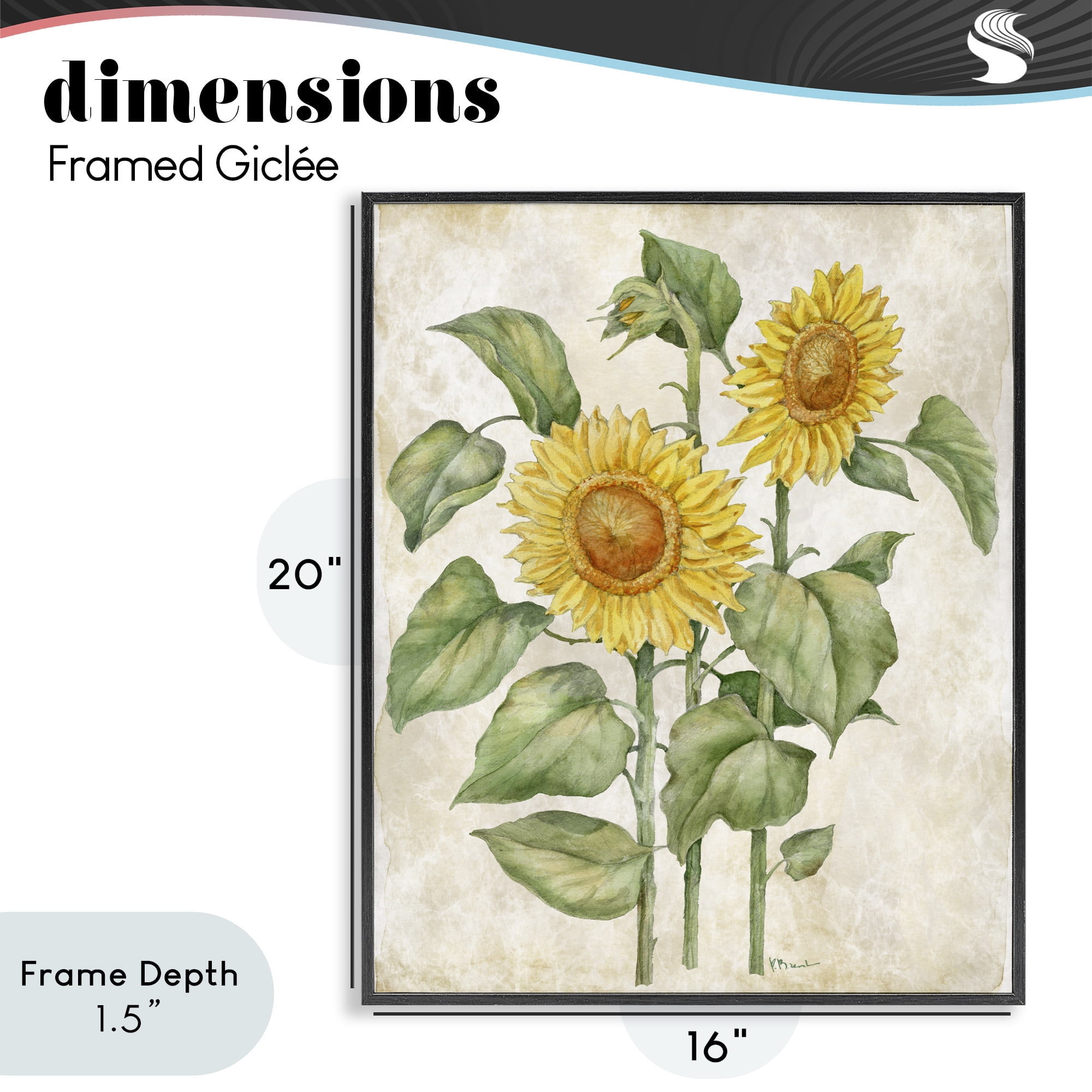 Stupell Industries Floral Journal Vintage Sunflower Black Framed Giclee Art, design by Paul Brent