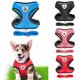 thumbnail image 2 of Arnés de perro ajustable suave transpirable arnés de perro y correa conjunto de malla de Nylon chaleco arnés para perros cachorro perros correa de pecho Gao Jiahui unisex, 2 of 2