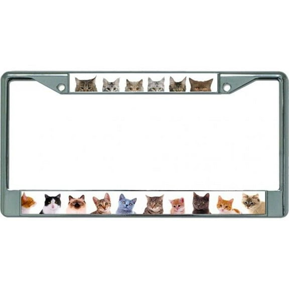 212 Main LPO5493 6 x 12 in. Adorable Cats & Kittens Chrome License Plate Frame
