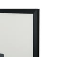 thumbnail image 6 of SAFAVIEH Shadow Of A Dandelion 18 in. x 24 in. Framed Wall Art, Black/Antique Ivory, 6 of 7