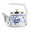 Bird of Paradise, variant on STPgoods Juicy Lemons Enamel Kettle 2.3 Qt (2.2 L) Enameled Aluminum Stovetop Kettle Vintage Teapot for Stove Top, Yellow