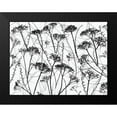 thumbnail image 2 of Frank, Assaf 18x15 Black Modern Framed Museum Art Print Titled - Silhouette of dried plants, 2 of 5