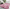 Tie Dye Dark Red, variant on Socofuz 2x3ft Fluffy Rug, Small Soft Carpets for Doorways, Bedrooms, Kitchen, and Bathroom Entrances