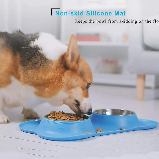 Dog bowls for small dogs hot sale