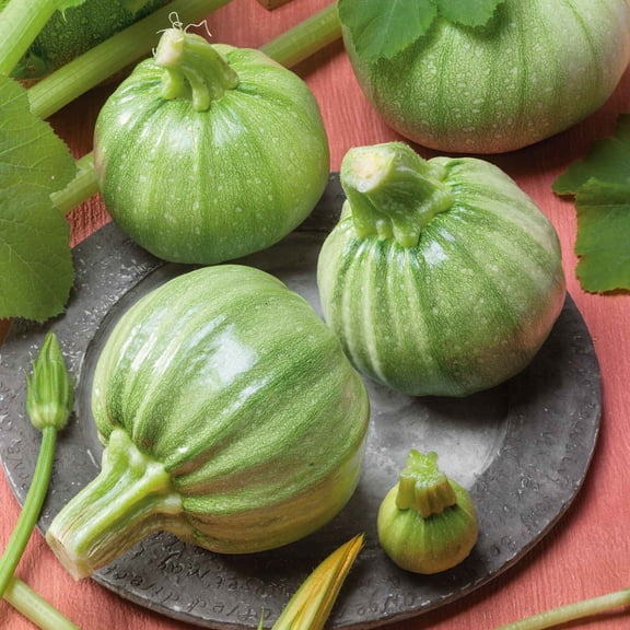 Eden Brothers Squash (Summer) Seeds - Ronde De Nice Non-GMO Seeds for Planting, 1 oz | Low-Maintenance Vegetable Seeds, Plant During Warm Season, Zones 10, 3, 4, 5, 6, 7, 8, 9