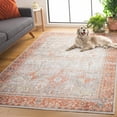 thumbnail image 5 of SAFAVIEH Arizona Phylliss Distressed Area Rug, Rust/Sage, 6' x 9', 5 of 14