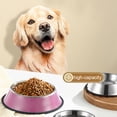 thumbnail image 3 of Sohindel Stainless Steel Non-Slip Pet Feeder Bowl Set with Rubber Base for Pets, Pink (2 Pack), 3 of 5