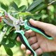 thumbnail image 1 of Tijeras de podar de jardinería: cuchillas de acero inoxidable, mangos ergonómicos de aluminio + PVC, ideales para el recorte de árboles frutales y la poda floral, juego de 2, 1 of 4