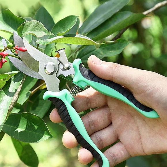 Ovzne Scissors For Pruning Fruit Trees Pruning Rough Branches In Gardens Pruning Branches Floral Pruning Pruning Fruit Picking And Pruning On Clearance