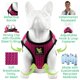 thumbnail image 4 of Arnés para perro EcoBark grande, rosa fucsia, de malla reflectante, 4 of 9