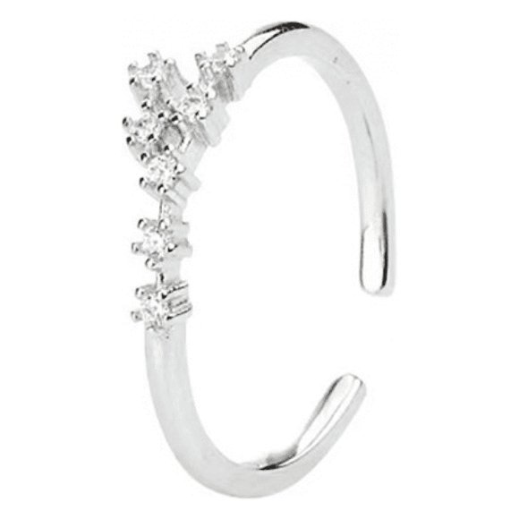 Horoscope Ring 925 Sterling Silver Statement Ring for Women