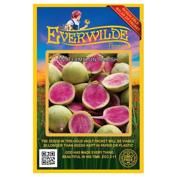 Everwilde Farms - 300 Watermelon Radish Seeds - Gold Vault Jumbo Bulk Seed Packet