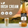 thumbnail image 3 of Syruvia Irish Cream Pure Cane Syrup, 25.4 fl Oz With Pump, 3 of 6