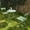 Green, variant on RELAX FIELD 3-Piece Outdoor Bistro Set, Folding Patio Furniture Set, Outdoor Table and Chairs Set for Patio, Garden, Balcony
