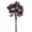 Purple, variant on Vickerman 16.5" Purple Artificial Dried Rose Bundle.