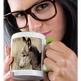 thumbnail image 2 of 3drose, Donkey Wildlife, Torras Conservancy, Namibia - Af31 Bja0412 - Jaynes Gallery, 11oz Two-tone Green Mug, 2 of 6