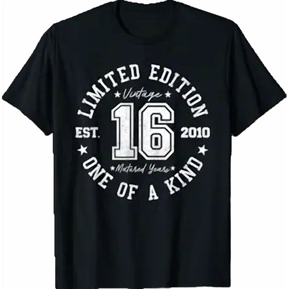Vintage 2010 16th Birthday 16 Years Old T-Shirt