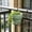 Green, variant on 4 inch Plant Pots, Small Plant Pots with Drainage Holes and Tray, Thickened Indoor Planters Seedlings Pots for Flowers, Violet, and All House Plants
