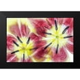 thumbnail image 2 of Disher, Mandy 24x17 Black Modern Framed Museum Art Print Titled - Tulips, 2 of 5