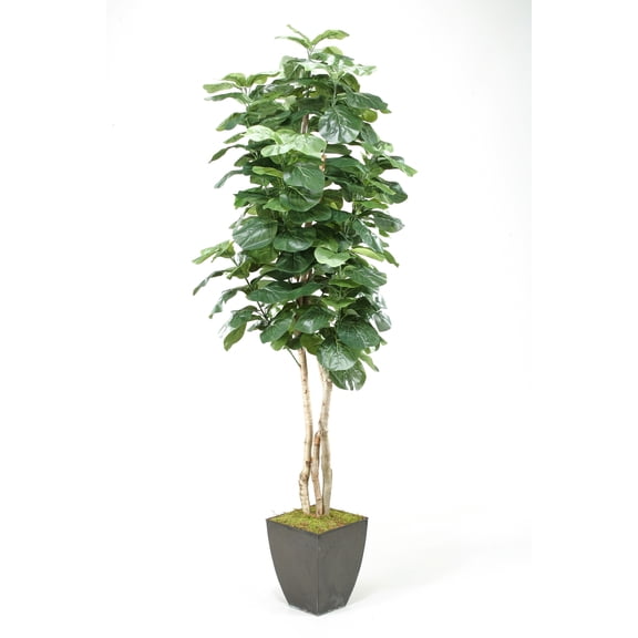 D&W Silks Fiddle Leaf Fig Tree in Black Square Metal Planter