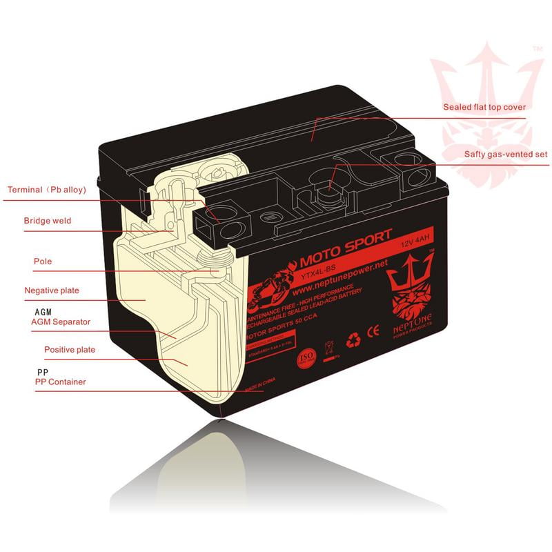 ALL YEARS YTX20L-BS by Neptune